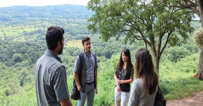 Consultoria Ambiental em Pernambuco: Guia Completo